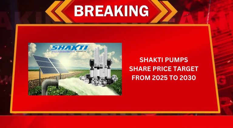 Shakti Pumps Share Price Target From 2025 to 2030